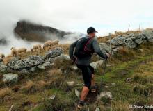 ALTITRAIL DE CHALIN 2019