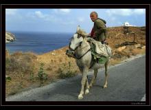 Andros