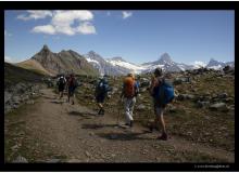 En fond d'Alpes bernoises