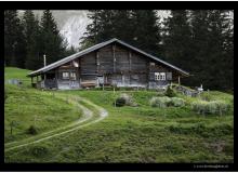 Chalet de Grindelwald