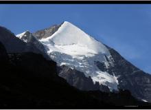 Silberhorn
