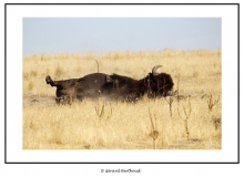 ANTELOPE ISLAND SALT LAKE CITY