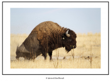 ANTELOPE ISLAND SALT LAKE CITY