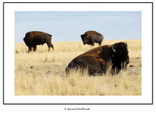 ANTELOPE ISLAND SALT LAKE CITY