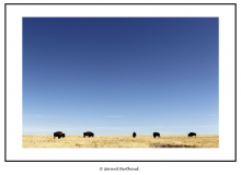 ANTELOPE ISLAND SALT LAKE CITY