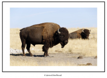 ANTELOPE ISLAND SALT LAKE CITY