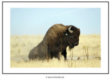 ANTELOPE ISLAND SALT LAKE CITY