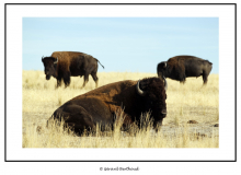 ANTELOPE ISLAND SALT LAKE CITY