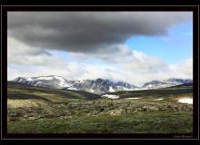 Parc National Dovrefjell