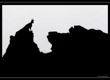 Bouquetin sur l'arete de Pavis