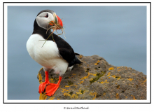 ISLANDE