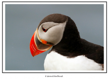ISLANDE