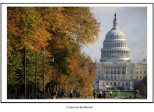WASHINGTON (USA)