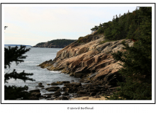 ACADIA NATIONAL PARK (USA)