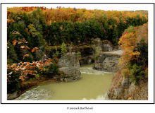 Finger Lakes National Forest (USA)