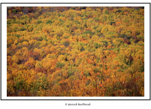 Shenandoah National Park