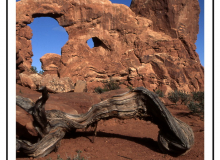 Triple Arche dans Arches National Park