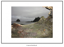 Rialto Beach (Olympic National Park)