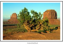 Monument-Valley