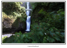 Multnomah Falls (Oregon)