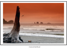 Ruby Beach (Olympic National Park)