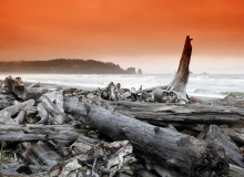 Ruby Beach (Olympic National Park)