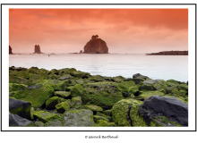 Ruby Beach (Olympic National Park)