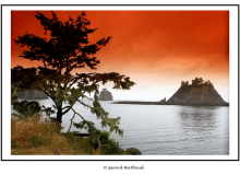 Ruby Beach (Olympic National Park)