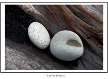 Ruby Beach (Olympic National Park)