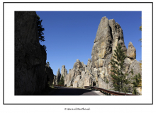 Black Hills National Forest