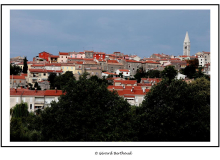 Vrsar