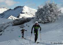 Diablerets *D