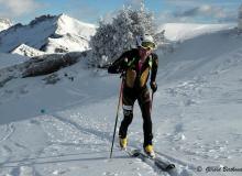 Diablerets *D