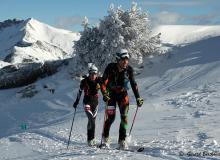 Diablerets *D