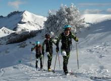 Diablerets *D