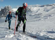 Diablerets *D