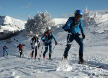 Diablerets *D