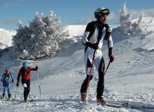 Diablerets *D