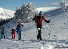 Diablerets *D