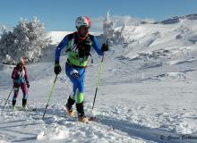 Diablerets *D