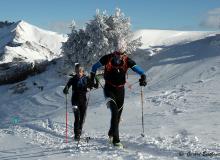 Diablerets *D