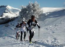 Diablerets *D
