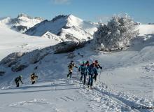 Diablerets *D