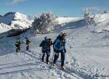Diablerets *D
