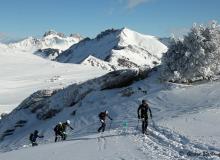 Diablerets *D