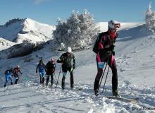 Diablerets *D
