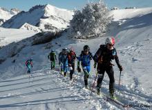 Diablerets *D