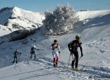 Diablerets *D