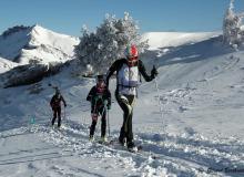 Diablerets *D