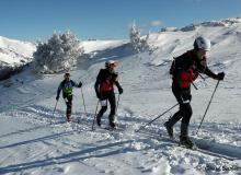 Diablerets *D